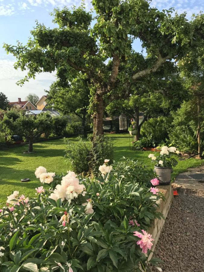 B&B Bland Ormbunkar Och Rosor ฟัลเคนเบิร์ก ภายนอก รูปภาพ