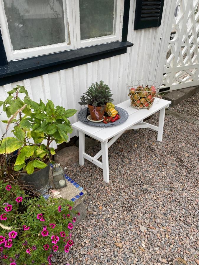 B&B Bland Ormbunkar Och Rosor ฟัลเคนเบิร์ก ภายนอก รูปภาพ